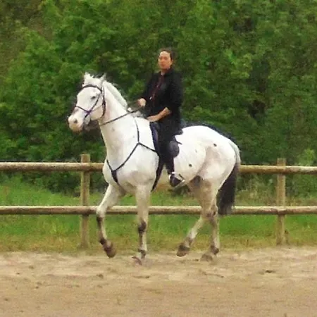 Christianslund Bed & Breakfast