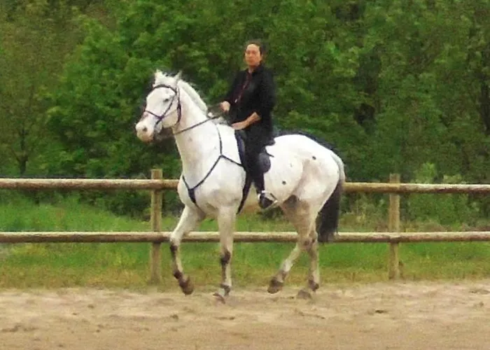 Christianslund Отель типа 